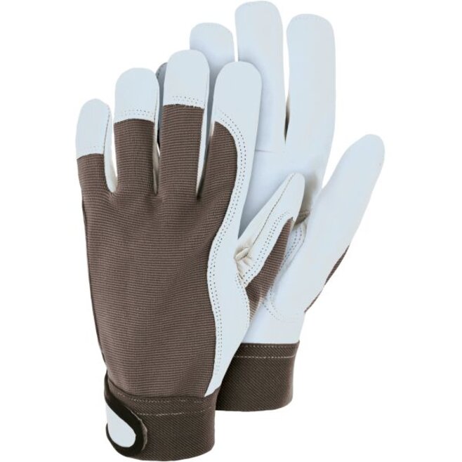 TR220, Anoa, Leder-Handschuh mit Spandex-Rücken, SB-Karte