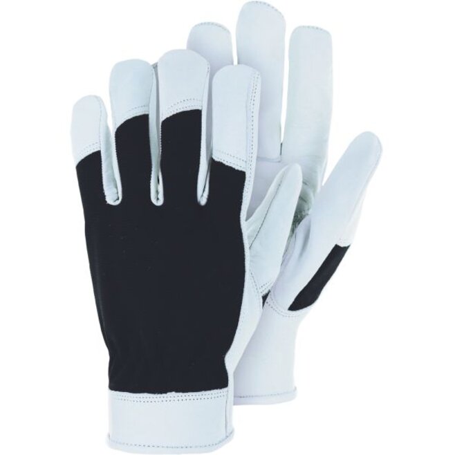 TR210, Bubalus, Leder-Handschuh mit Spandex-Rücken, SB-Karte