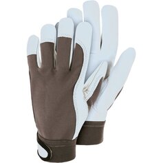 TR220, Anoa, Leder-Handschuh mit Spandex-Rücken, SB-Karte