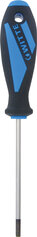MaxxPro - Schraubendreher, Torx, T15 x 80 mm