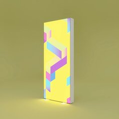 PIXLIP